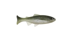 Anglers King Sugar Shaker Trout