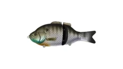 Baitsanity Explorer Gill Glide Bait 6