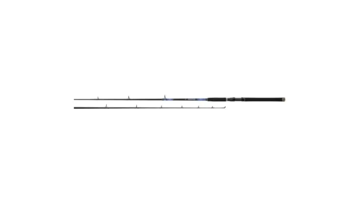 Daiwa Beefstick Conventional Rods