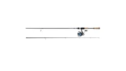 Daiwa Legalis LT Spinning Combo
