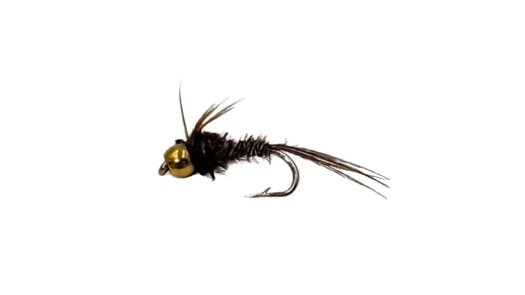 Dry Creek Fly Nymph
