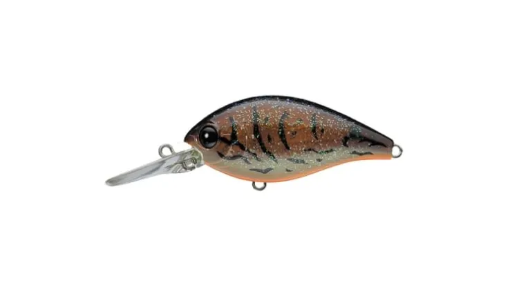 Evergreen CR-10 Crankbaits