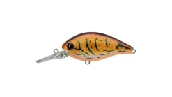 Evergreen CR-10 Crankbaits