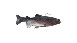 Huddleston Deluxe 10" Trout