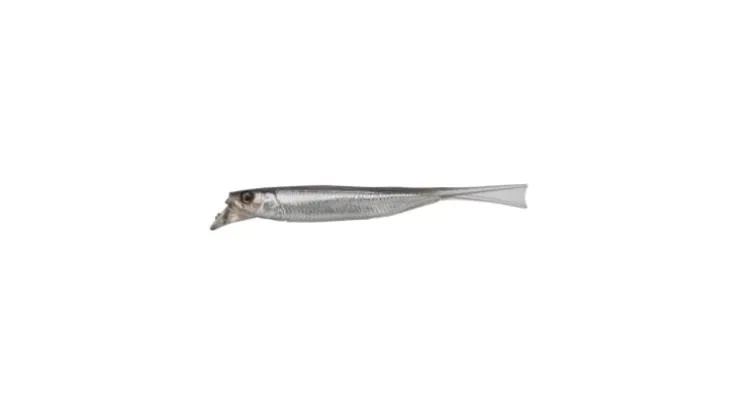 Jackall Drift Fry 4.0