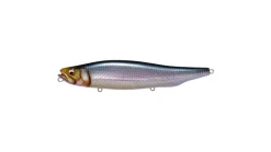 Megabass Megadog