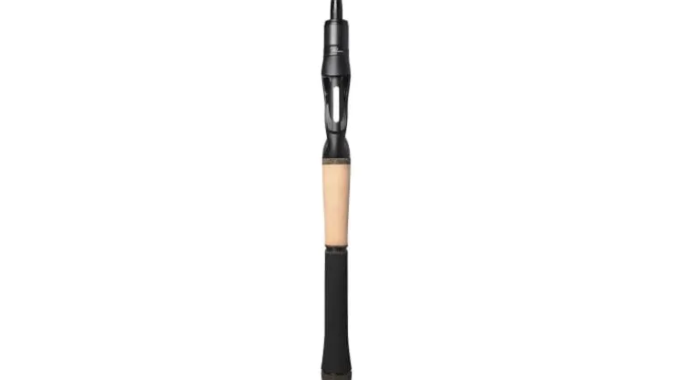 Phenix RTS Inshore Rods