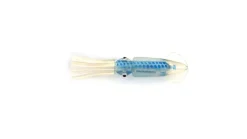P-Line Rock Cod Rig