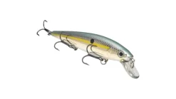 Strike King KVD Jerkbait