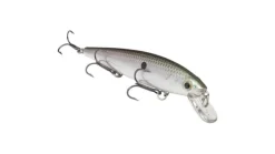 Strike King KVD Jerkbait