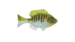 Sudden Impact Suzygill Bluegill Jr. Gill