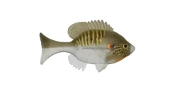 Sudden Impact Suzygill Bluegill