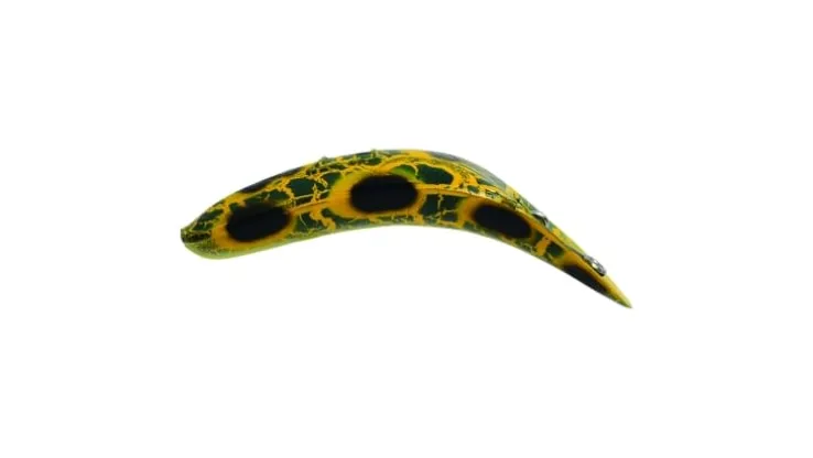 Worden's Flatfish F4