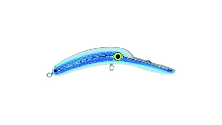 Worden's Flatfish Mag Lip