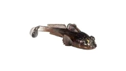 Z-Man Gobius